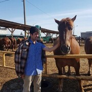  ,   Erdemish, 31 ,   
