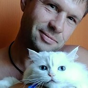 ���������� ����, ���� ������� ����, 44 ����, ������������ ��� ����� � ���������, c�������� ���������