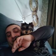 ���������� ������, ���� ������� ��, 40 ���, ������������ ��� ������, ����� � ���������