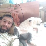  ,   , 44 ,   