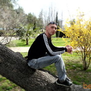 ���������� ������������, ���� ������� ������, 43 ����, ������������ ��� ������, ����� � ���������, c�������� ���������