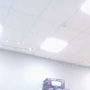 ���������� ����, ���� ������� ����, 41 ���, ������������ ��� ����� � ���������, c�������� ���������