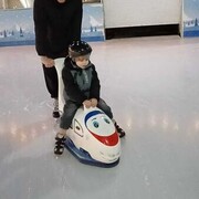 ���������� ���������, ���� ������� ������, 43 ����, ������������ ��� ������, ����� � ���������