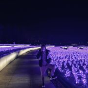 ���������� ����������, ���� ������� �����, 28 ���, ������������ ��� ������, ����� � ���������