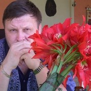  -,   , 61 ,  