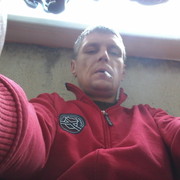  ,  rys, 42