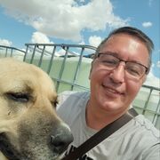 ���������� ������-��-����, ���� ������� �������, 46 ���, ������������ ��� ������, ����� � ���������