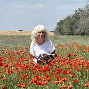 ���������� �����������, ���� ������� �������, 66 ���, ������������ ��� ������, ����� � ���������, c�������� ���������