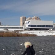 ���������� ������, ���� ������� �����, 49 ���, ������������ ��� ������, ����� � ���������