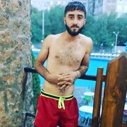 Novy,   Aram, 28 ,   ,   