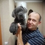 ���������� ���������, ���� ������� ���������, 55 ���, ������������ ��� ������, ����� � ���������