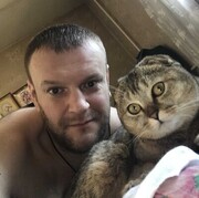 ���������� ������, ���� ������� ����, 44 ����, ������������ ��� ������, ����� � ���������