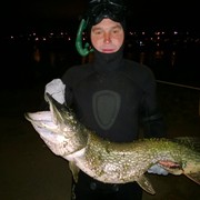 ��������� �����