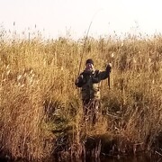 ���������� ����, ���� ������� ���������, 49 ���, ������������ ��� ������, ����� � ���������