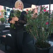  ,   , 53 ,   ,   