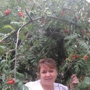 ���������� �����������, ���� ������� �������, 52 ����, ������������ ��� ����� � ���������, c�������� ���������