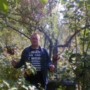 ���������� ������, ���� ������� ����, 53 ����, ������������ ��� ���������