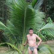  -,   , 49 ,   