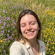 ���������� ���������, ������