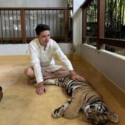 ���������� �����-���������, ���� ������� ������, 27 ���, ������������ ��� ������, ����� � ���������, c�������� ���������