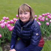 ���������� �����-���������, ���� ������� ����, 62 ����, ������������ ��� ������, ����� � ���������, c�������� ���������