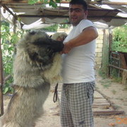  ,   Emin, 43 ,   
