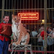 ���������� ������-��-����, ���� ������� ����, 37 ���, ������������ ��� ������, ����� � ���������, c�������� ���������, ���������