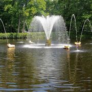 ���������� �����, ���� ������� �������, 58 ���, ������������ ��� ���������