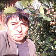   ,   , 55 ,  