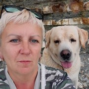  ,   , 52 ,   ,   