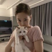  ,    , 27 ,   ,   