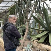 ���������� �����, ���� ������� ������, 45 ���, ������������ ��� ������, ����� � ���������