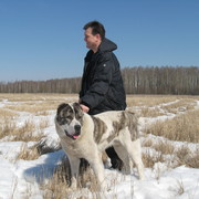 ���������� ������, ���� ������� ���������, 64 ����, ������������ 