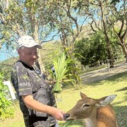 ���������� ����������, ���� ������� ���������, 46 ���, ������������ ��� ������, ����� � ���������