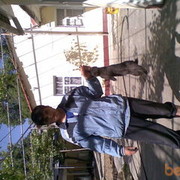  ,   Gangster31, 33 ,  