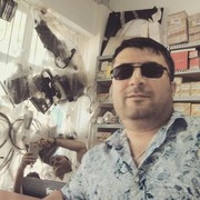  ,   , 38 ,   , 