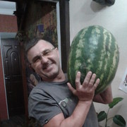  Jelcz,  , 56