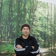 ���������� ����������, ���� ������� ������, 48 ���, ������������ ��� ������, ����� � ���������, c�������� ���������