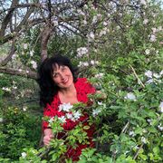 ���������� ����������, ���� ������� �������, 62 ����, ������������ ��� ����� � ���������, c�������� ���������