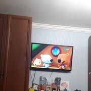 ���������� ������, ���� ������� �������, 48 ���, ������������ ��� ����� � ���������, c�������� ���������