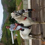 ���������� �������, ���� ������� ������, 46 ���, ������������ ��� ������, ����� � ���������, c�������� ���������