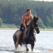  ,   , 39 ,     , c , 