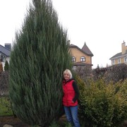 ���������� ����, ���� ������� �������, 57 ���, ������������ ��� ����� � ���������, c�������� ���������