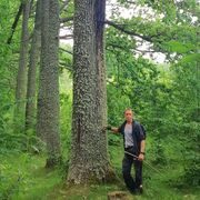 ���������� ���������, ���� ������� ���������, 48 ���, ������������ ��� ������, ����� � ���������, c�������� ���������, ���������