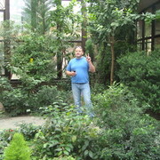 ���������� �����, ���� ������� �������, 52 ����, ������������ ��� ������, ����� � ���������, c�������� ���������