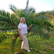 ���������� ������, ���� ������� �����, 54 ����, ������������ 