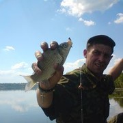  ,   , 46 ,   