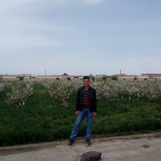  ,   Mirshod, 34 ,   ,   , c 