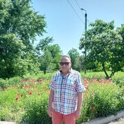  --,   Alattin, 60 ,   ,   