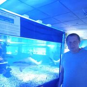 ���������� ������-��-����, ���� ������� ����, 38 ���, ������������ ��� ������, ����� � ���������